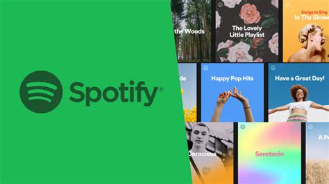 how to discover new music on spotify while crafting the perfect playlist for your workout routine